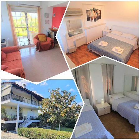 Vacation And Relaxation Home Oropos Nea Palatia エクステリア 写真