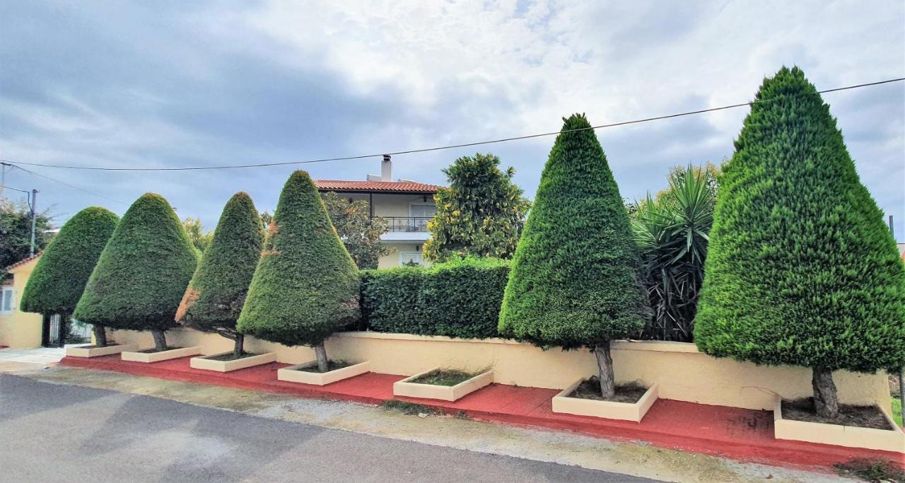 Vacation And Relaxation Home Oropos Nea Palatia エクステリア 写真