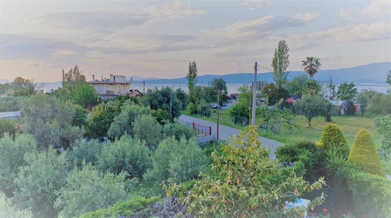 Vacation And Relaxation Home Oropos Nea Palatia エクステリア 写真